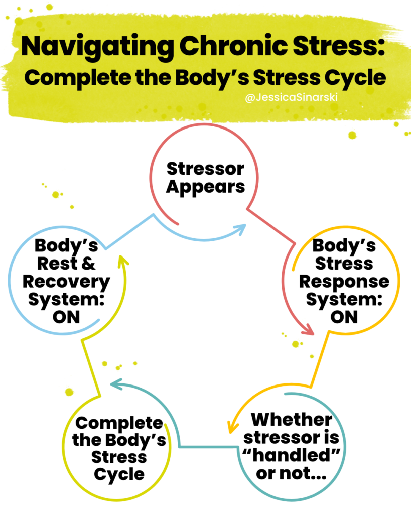 Navigating Chronic Stress: Complete the Body's Stress Cycle: Stressor appears - Body's stress response system: on - Whether stressor is "handled" or not... - Complete the body's stress cycle - Body's rest and recovery system: on - repeat